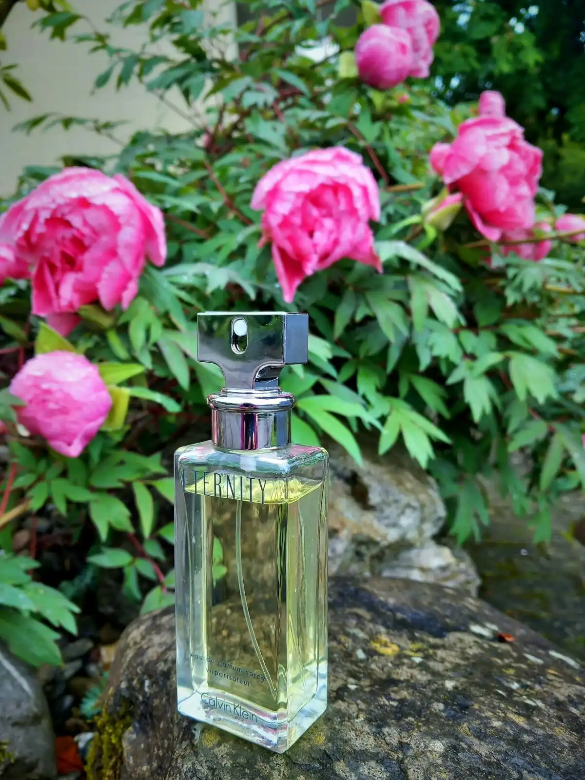 Những dịp và sự phù hợp Calvin Klein Eternity For Women