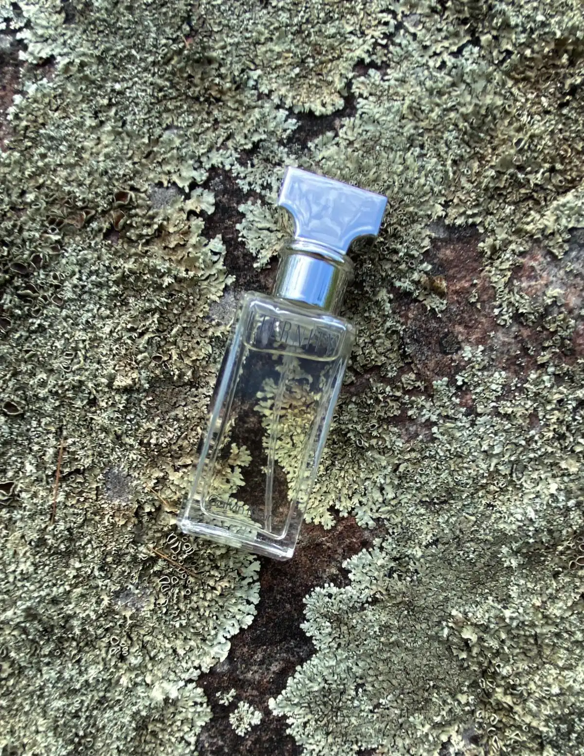 So sánh Calvin Klein Eternity For Women với các loại nước hoa tương tự