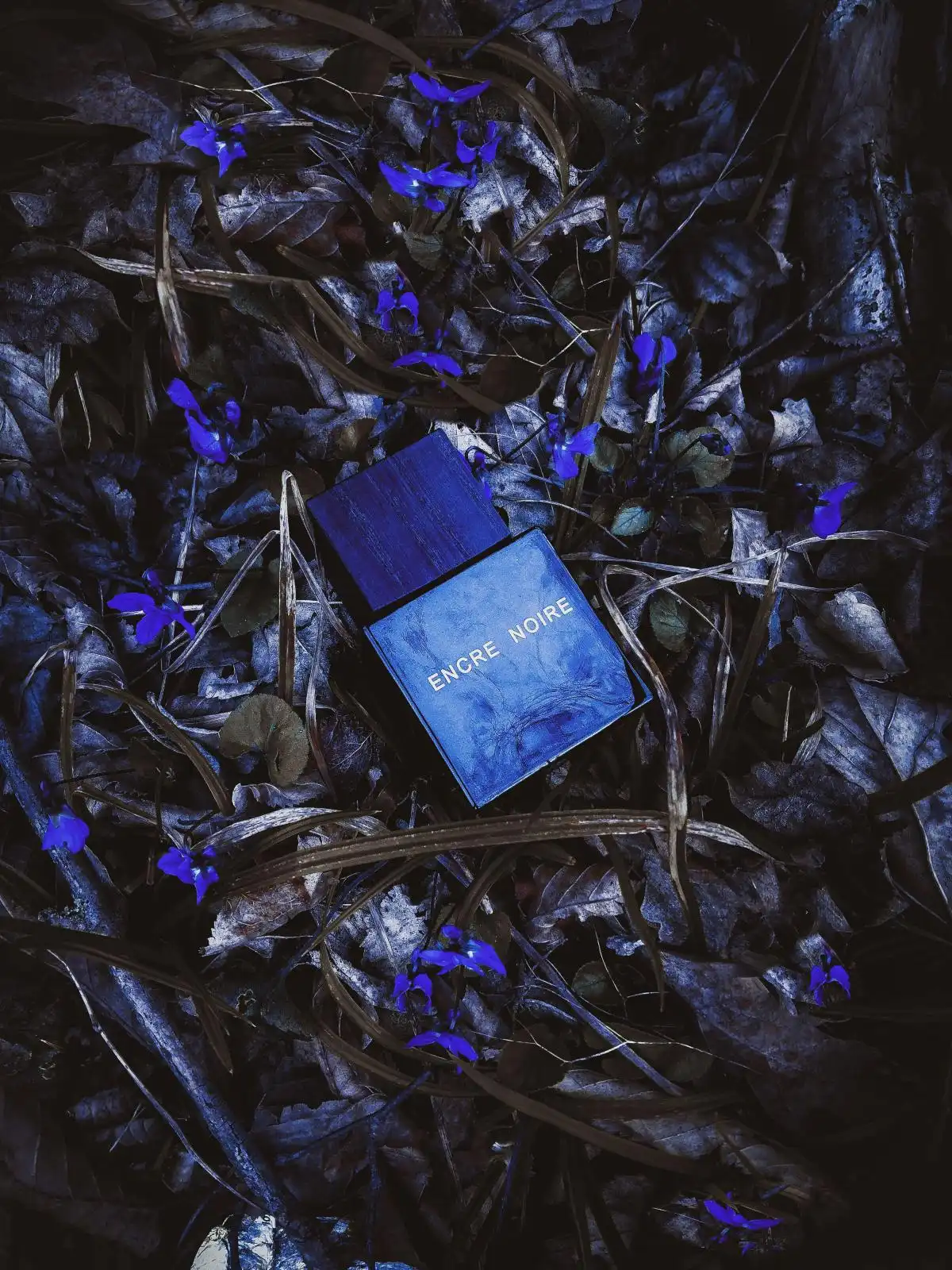 Độ tỏa hương nước hoa Lalique Encre Noire EDT