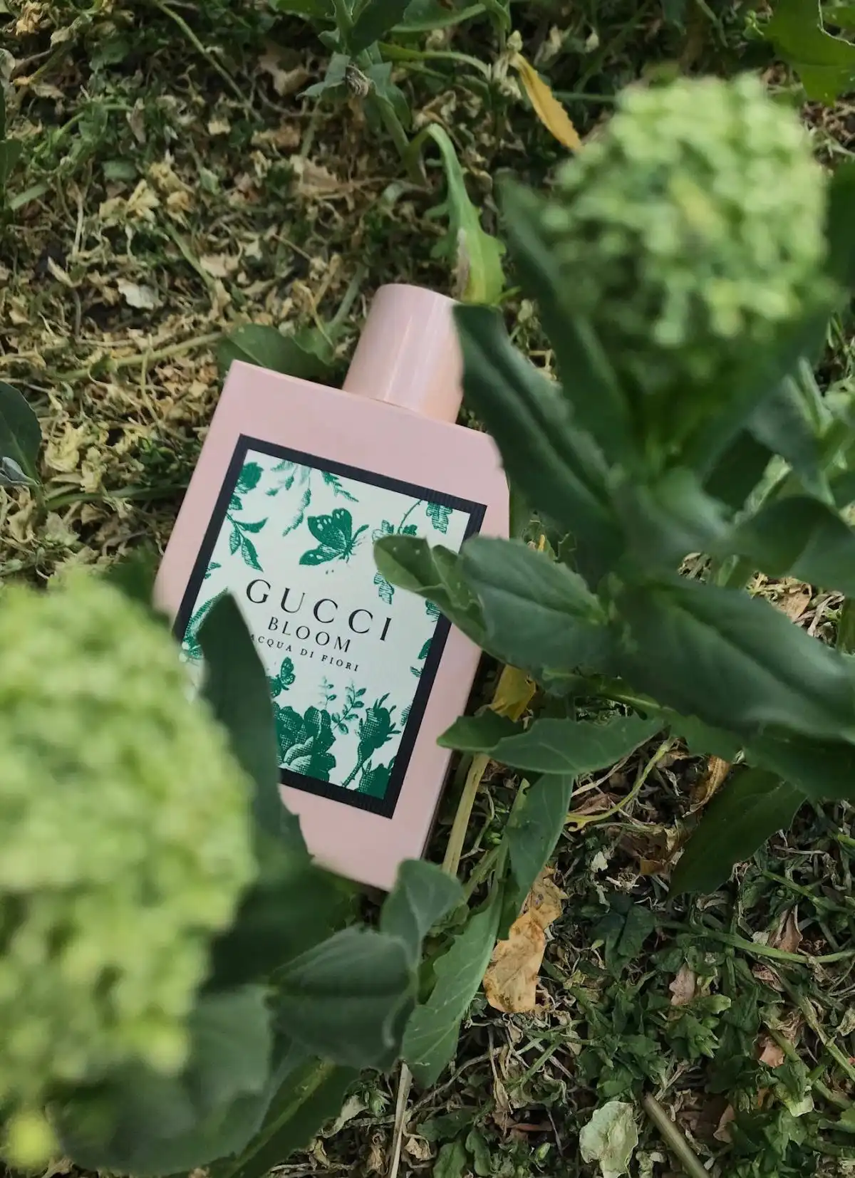 Độ lưu hương Gucci Bloom Acqua Di Fiori