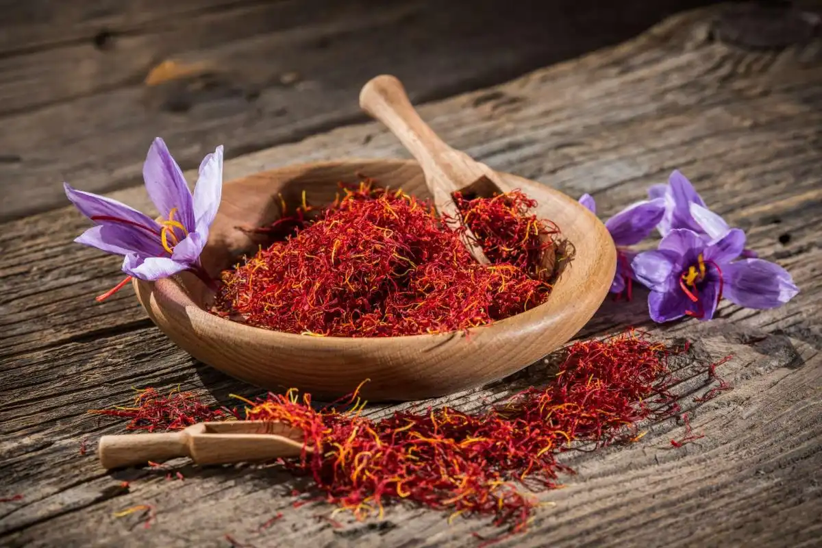 Khám phá hương thơm đặc trưng của Saffron