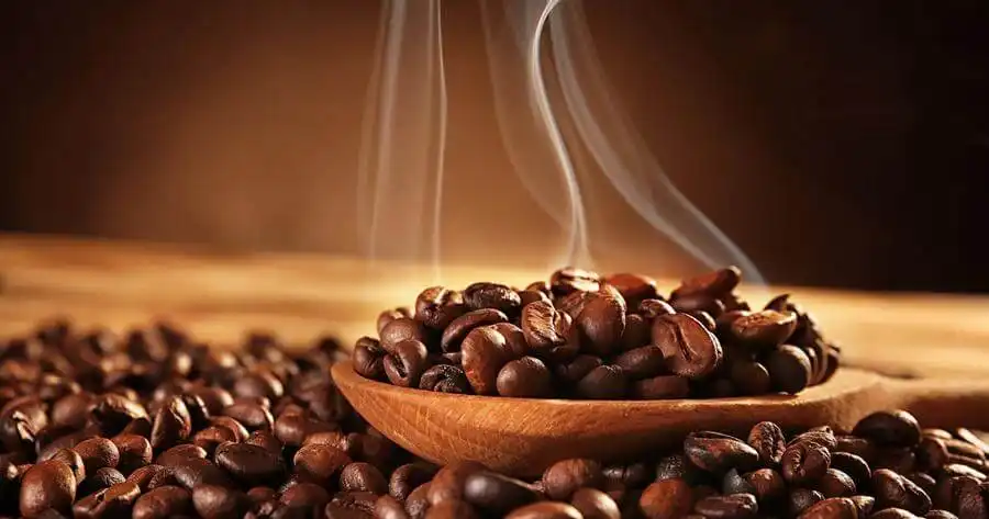 Cà Phê (Coffee) Trong Nước Hoa Có Mùi Gì?