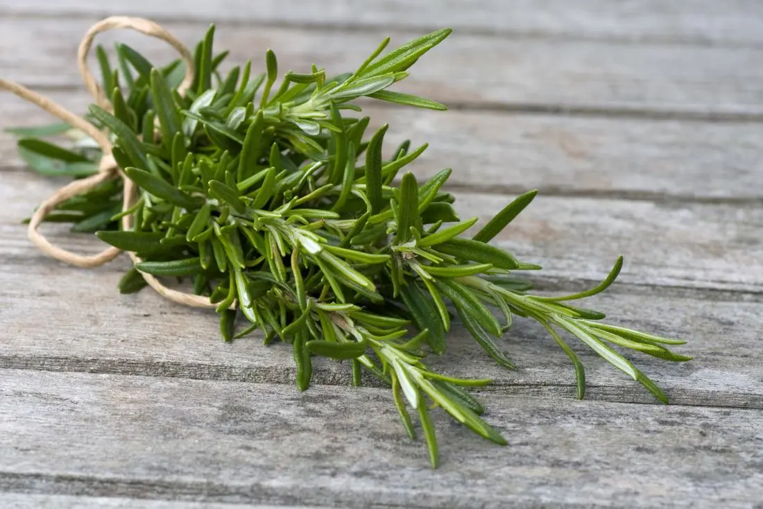 Hương Thảo (Rosemary) Có Mùi Như Thế Nào?