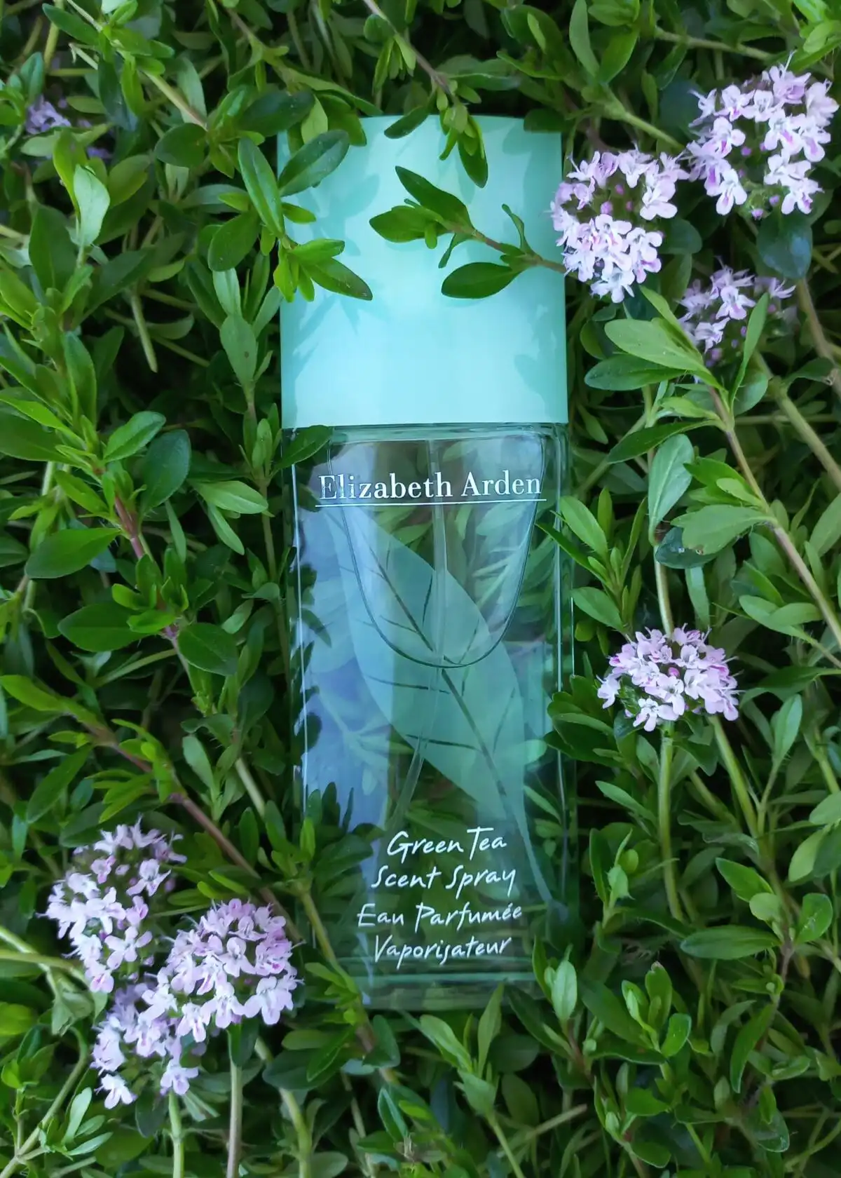 Mùi hương nước hoa Elizabeth Arden Green Tea