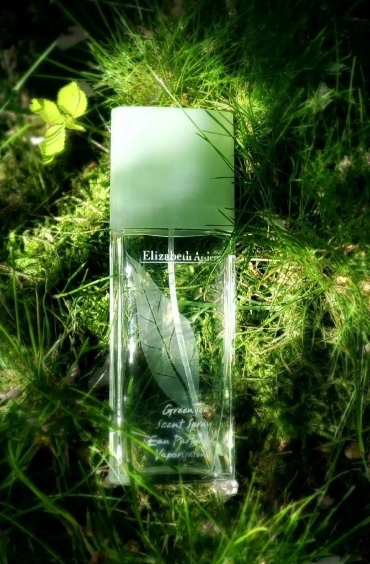 Thiết kế: Chai và bao bì nước hoa Elizabeth Arden Green Tea