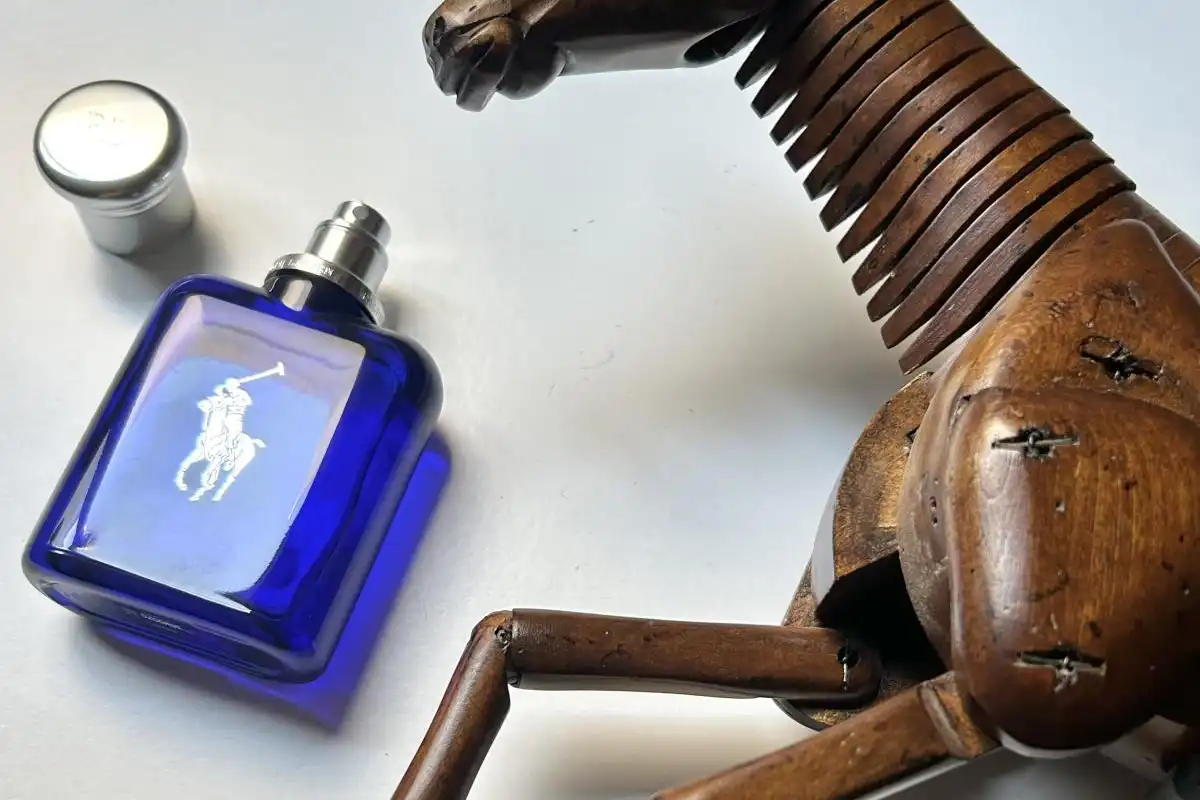 So Sánh Nước Hoa Giò Trắng Và Polo Blue