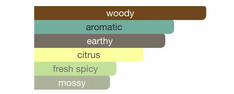 Mùi hương Nước Hoa Tom Ford Grey Vetiver