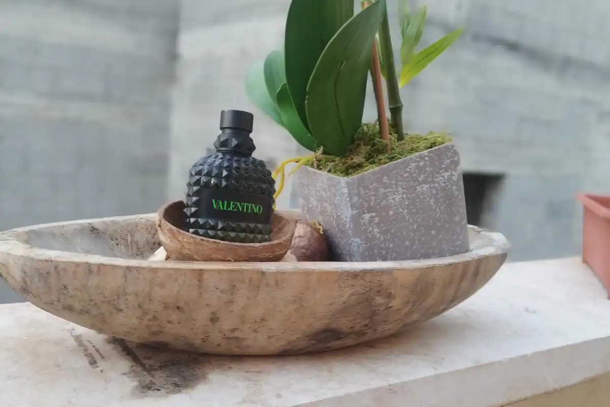 Review Nước Hoa Valentino Uomo Born In Roma Green Stravaganza