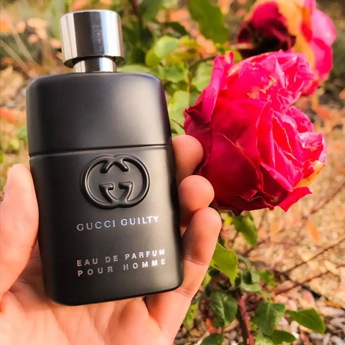 Độ lưu hương Nước Hoa Nam Gucci Guilty Pour Homme Eau De Parfum