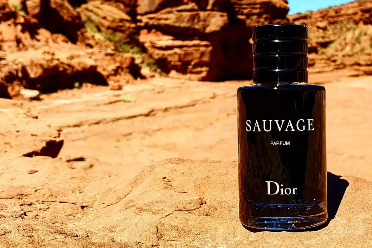 Nước Hoa Dior Sauvage Parfum Có Đáng Mua Trong Năm 2025 Không?
