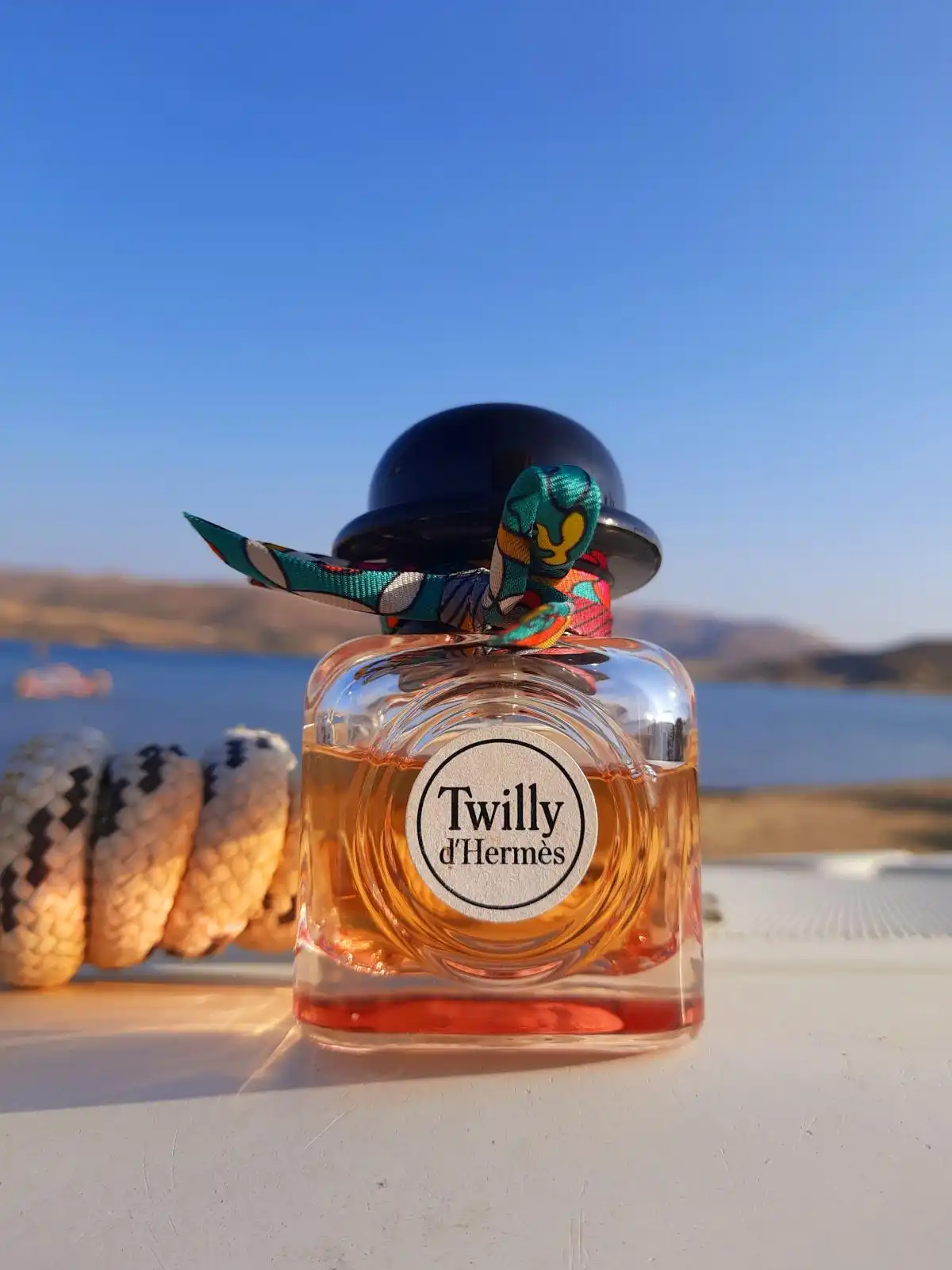 Độ tỏa hương Twilly d’Hermès by Hermès