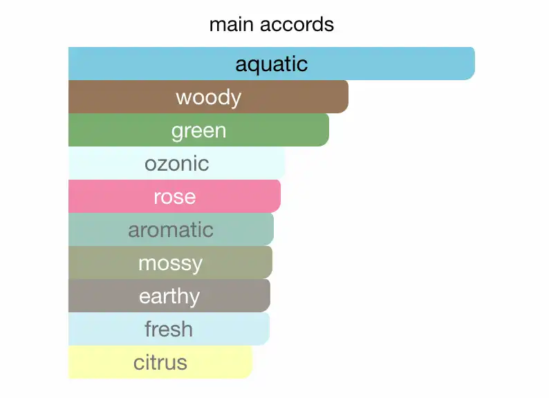 Mùi hương Maison Margiela Replica When The Rain Stops