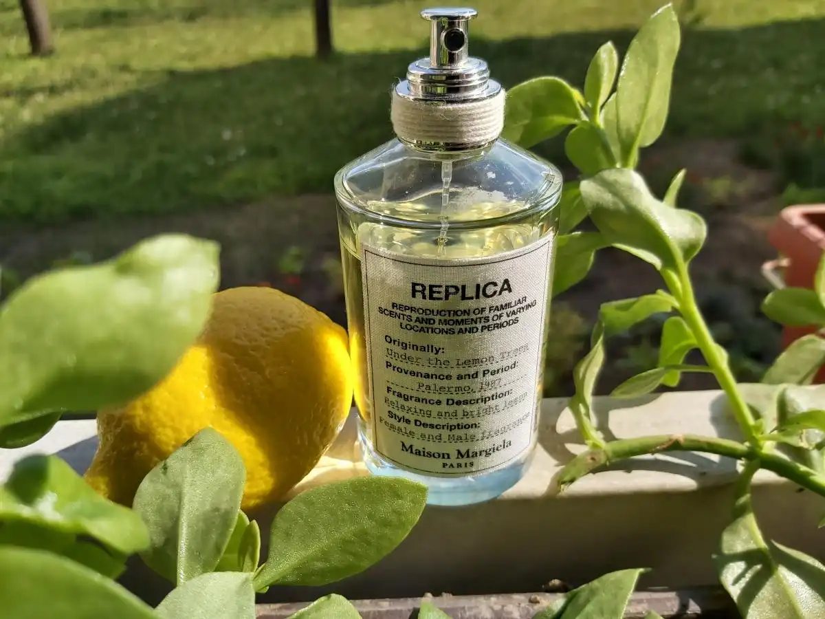 Review Nước Hoa Maison Margiela Replica Under the Lemon Trees - Đắm Mình Trong Vườn Cam Quýt