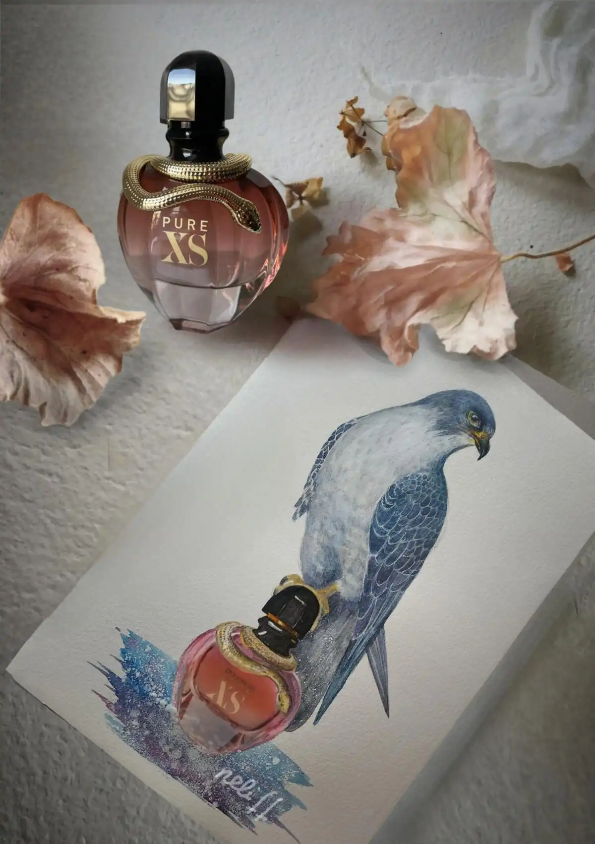 Độ lưu hương Paco Rabanne Pure XS For Her