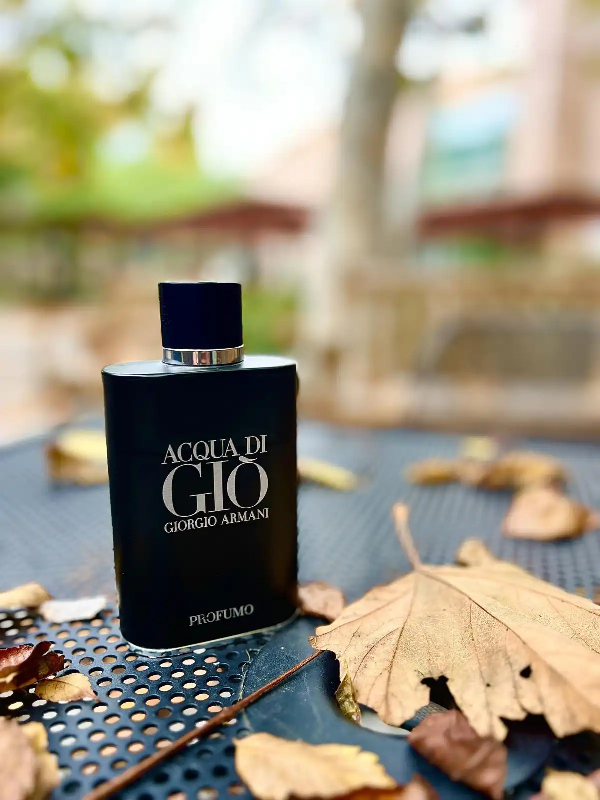Thiết kế Giò Đen Profumo