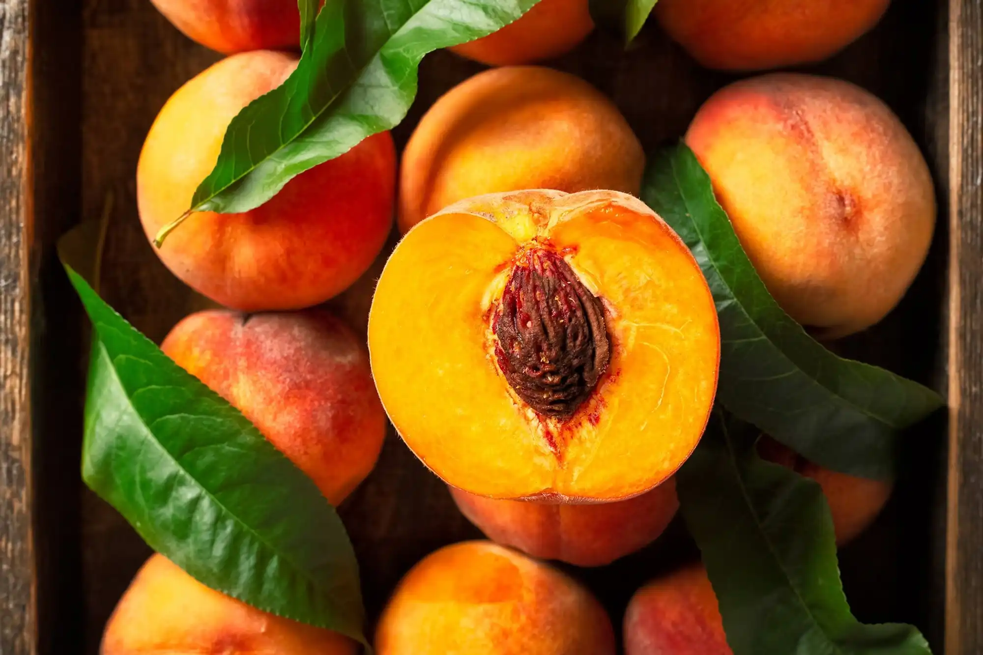 Đào (Peach) Trong Nước Hoa Có Mùi Gì?