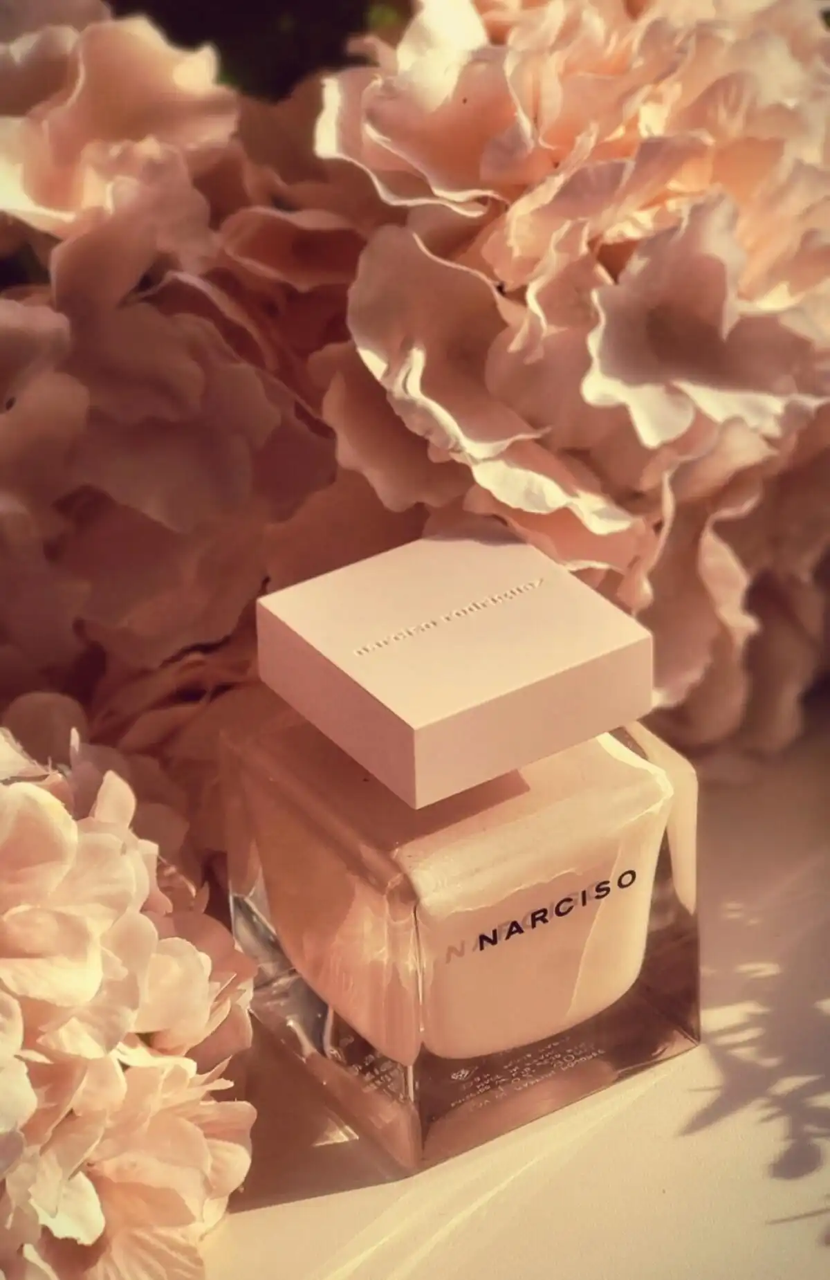 Thiết kế Narciso Hồng Phấn Poudrée sang trọng