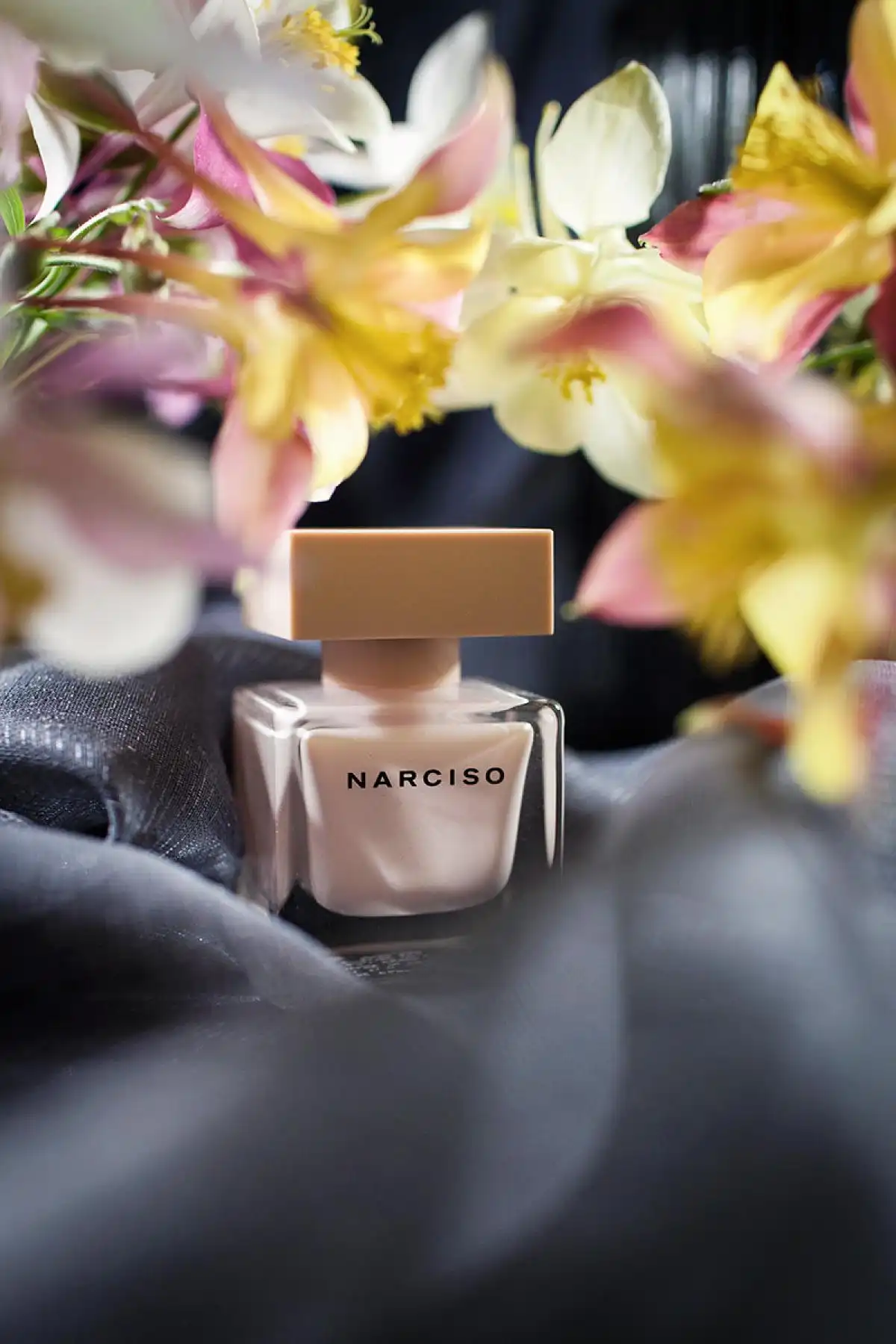 Điều gì khiến bạn phải lòng Narciso Poudrée?