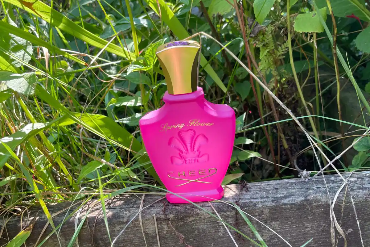 Review Nước Hoa Creed Spring Flower - Bản Giao Hưởng Mùa Xuân