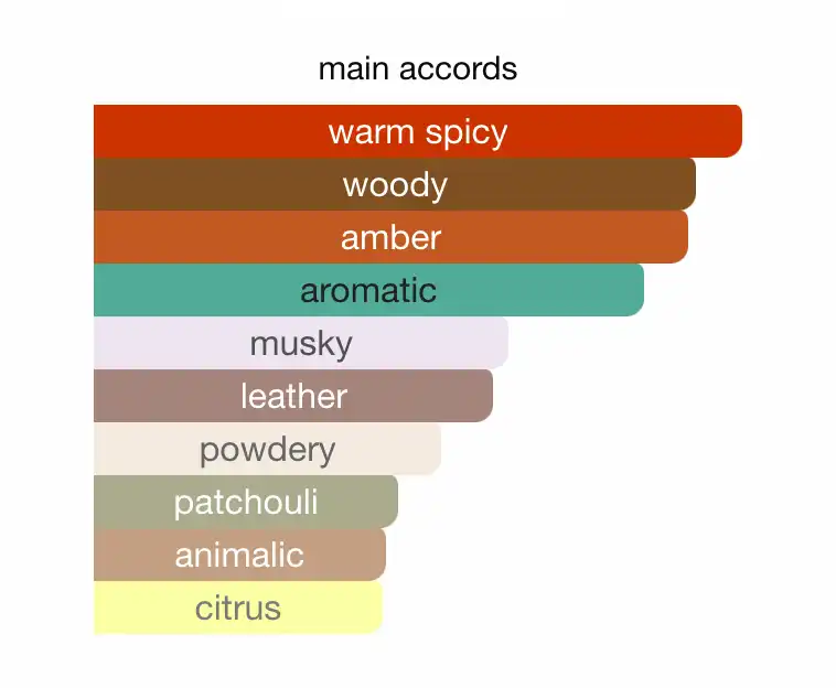 Mùi hương The One For Men Intense EDP