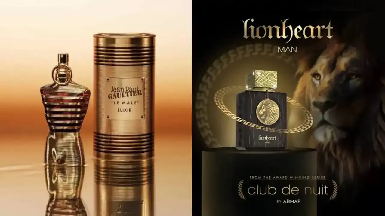 Le Male Elixir Vs Lionheart: Ai Thống Trị Khu Rừng Nước Hoa?