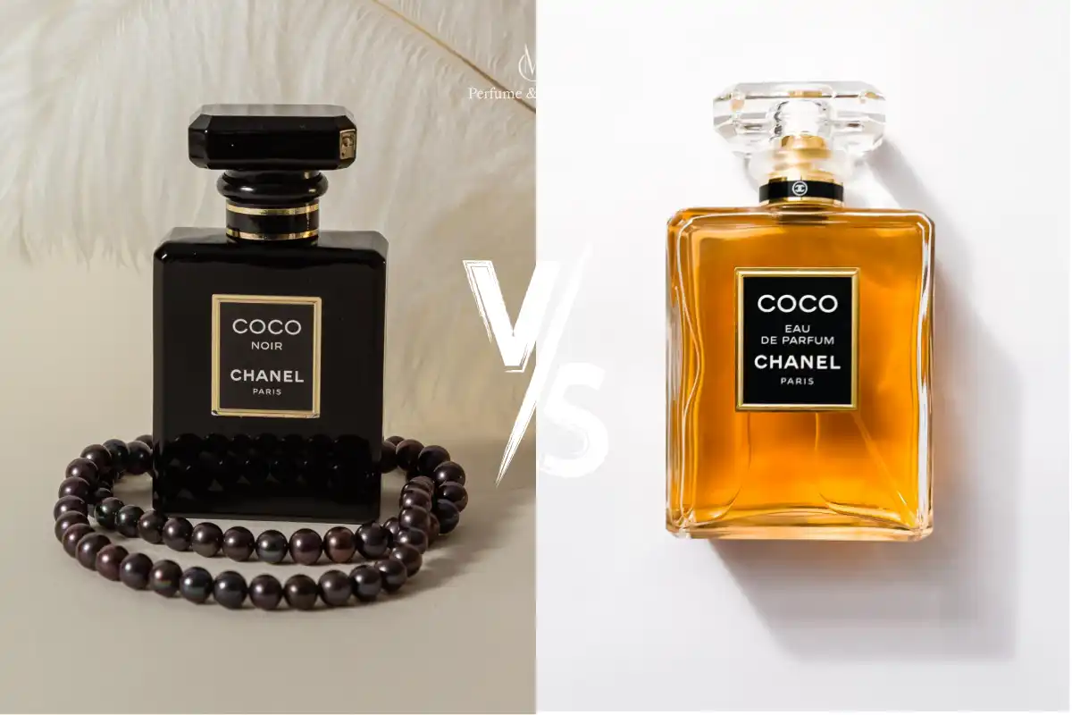 So Sánh Nước Hoa Chanel Coco Noir Và Chanel Coco