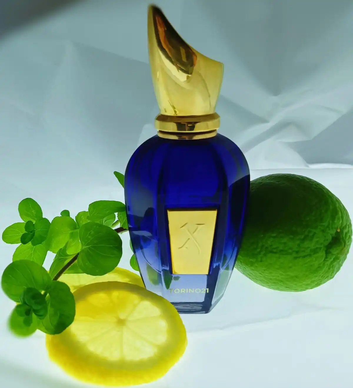 Hiệu suất Xerjoff Torino 21