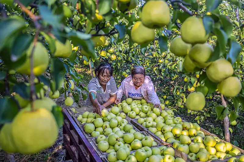 Khởi nguồn...