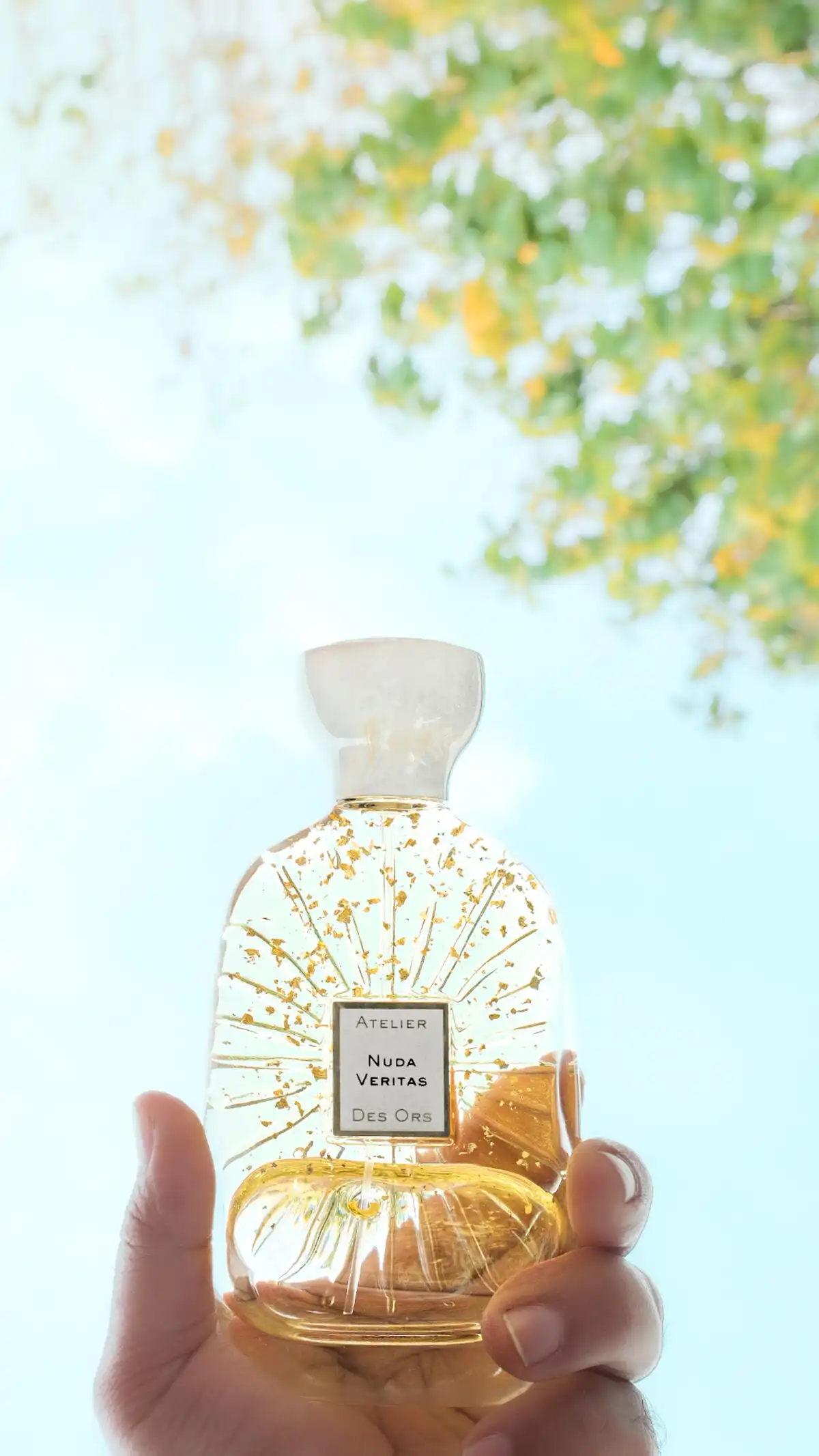 Thiết kế Atelier Des Ors Nuda Veritas
