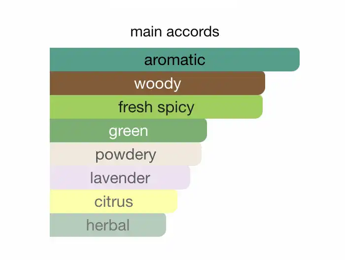 Mùi Hương Burberry For Men