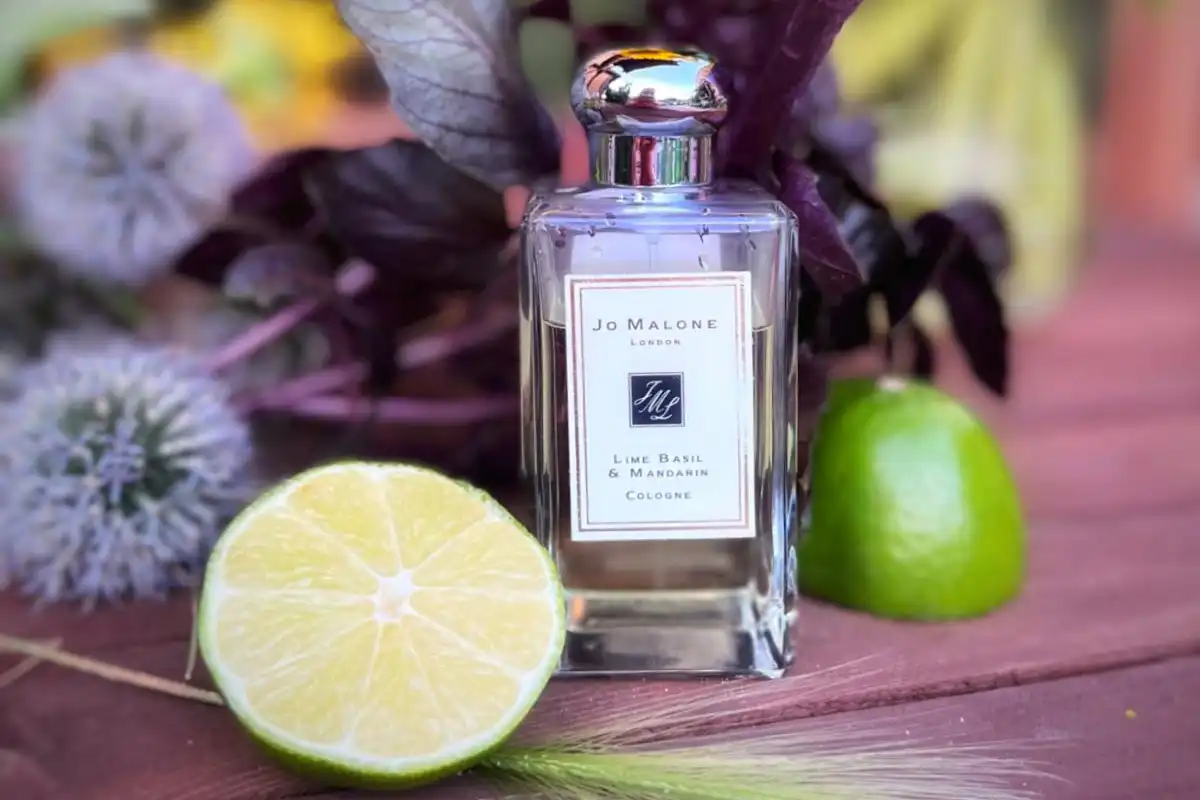 Những Loại Nước Hoa Aromatic Tốt Nhất Năm 2025