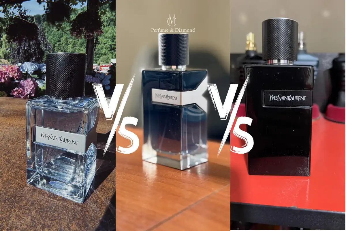YSL Y EDT, YSL Y EDP, YSL Y Le Parfum: Loại Nào Phù Hợp Với Bạn Nhất?