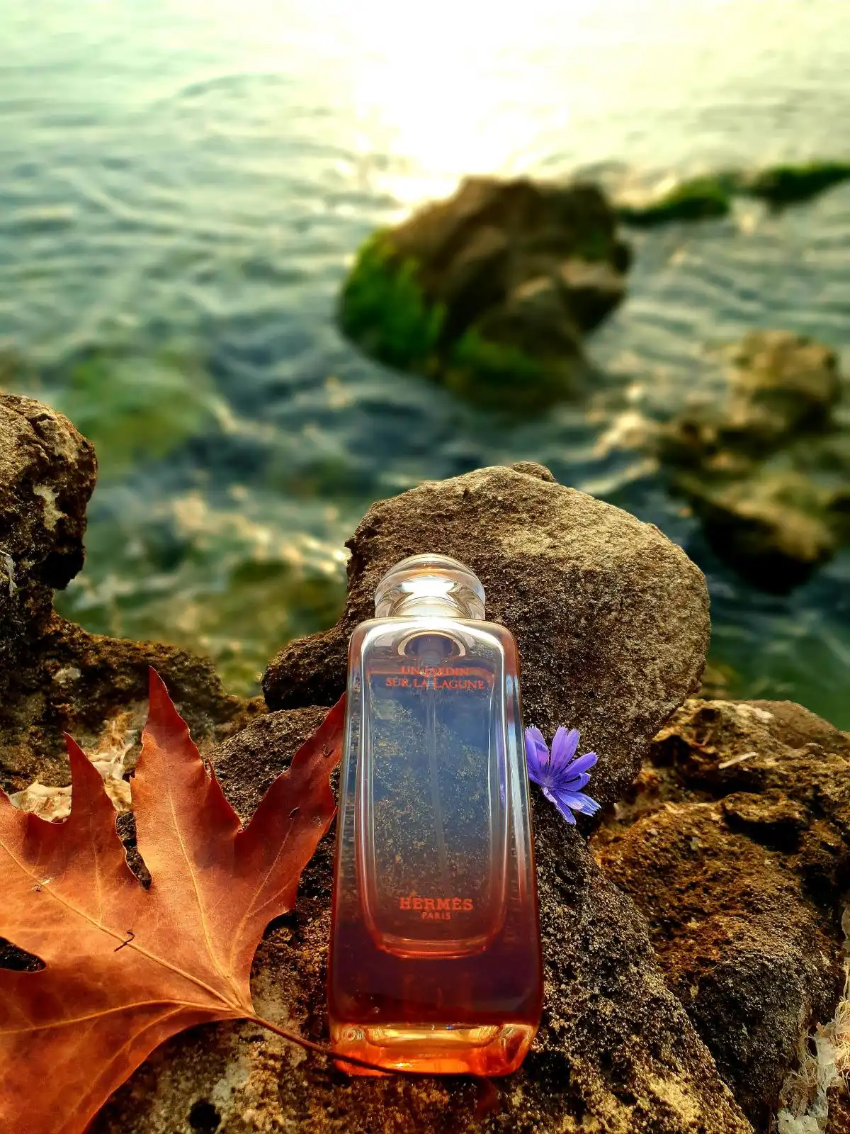 Kết luận - Nước Hoa Hermes Un Jardin Sur La Lagune có đáng mua không