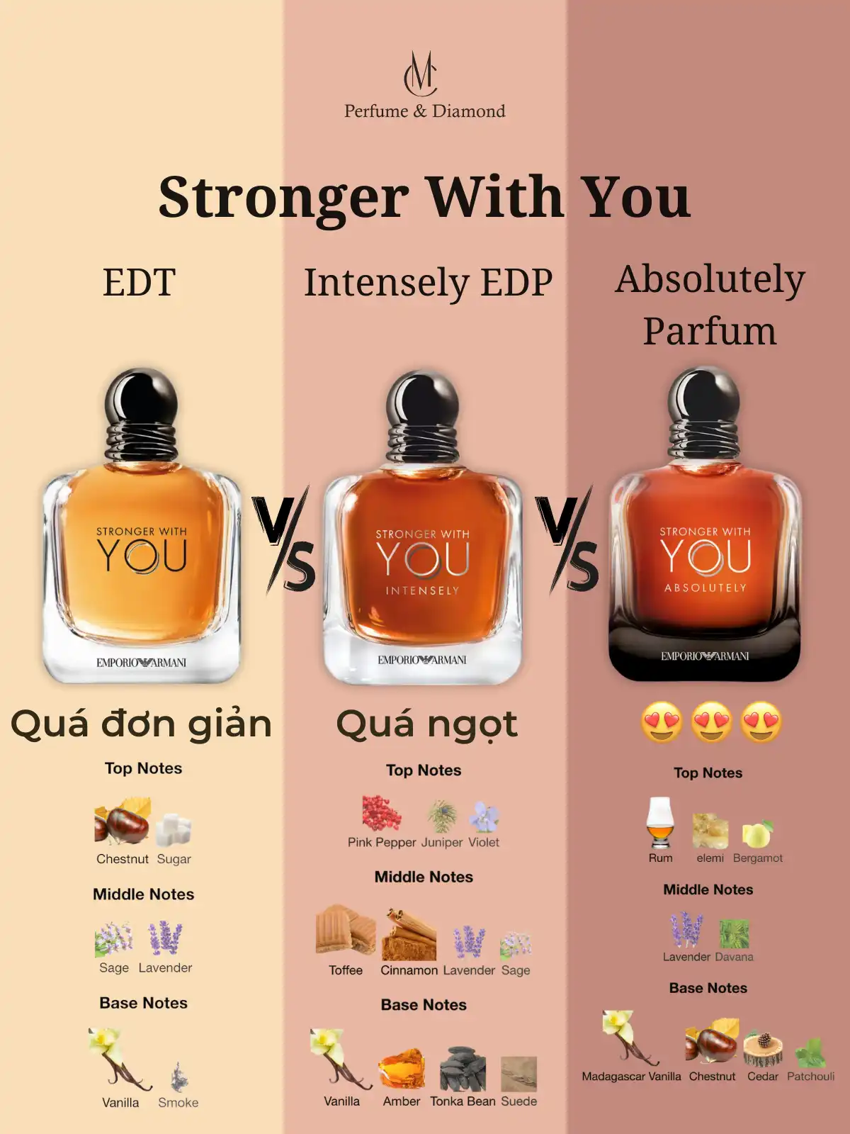 So Sánh 3 Chai Nước Hoa Stronger With You EDT Vs Intensely EDP Vs Absolutely Parfum