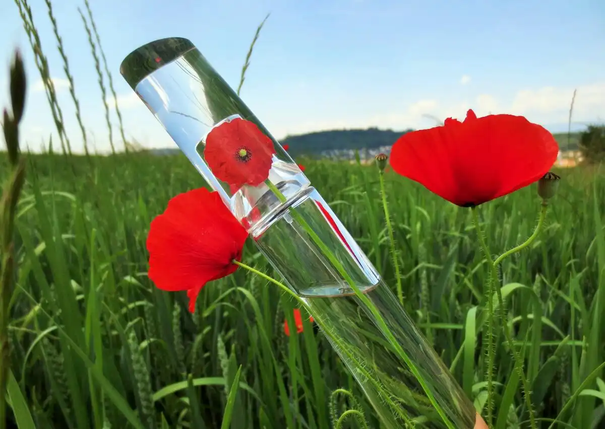 Kenzo Flower - Hương Phấn Tinh Tế