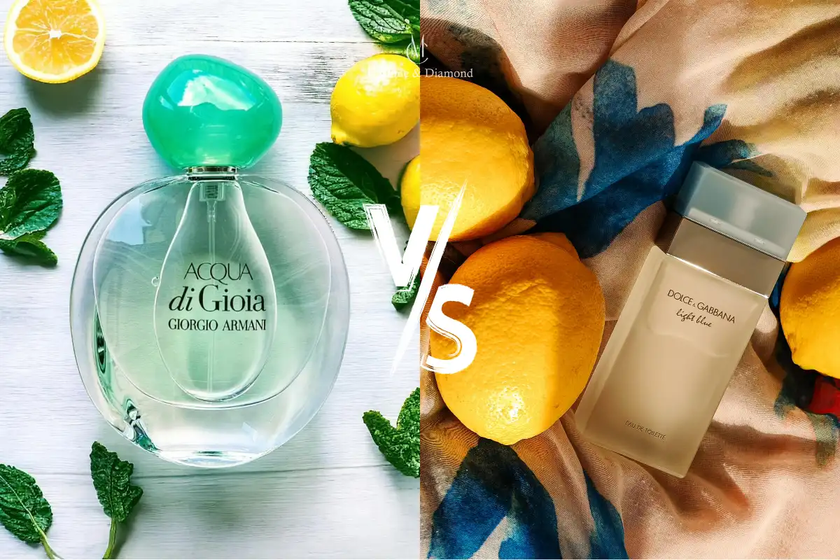 Acqua Di Gioia vs Light Blue - 2 Mùi Hương Mùa Hè