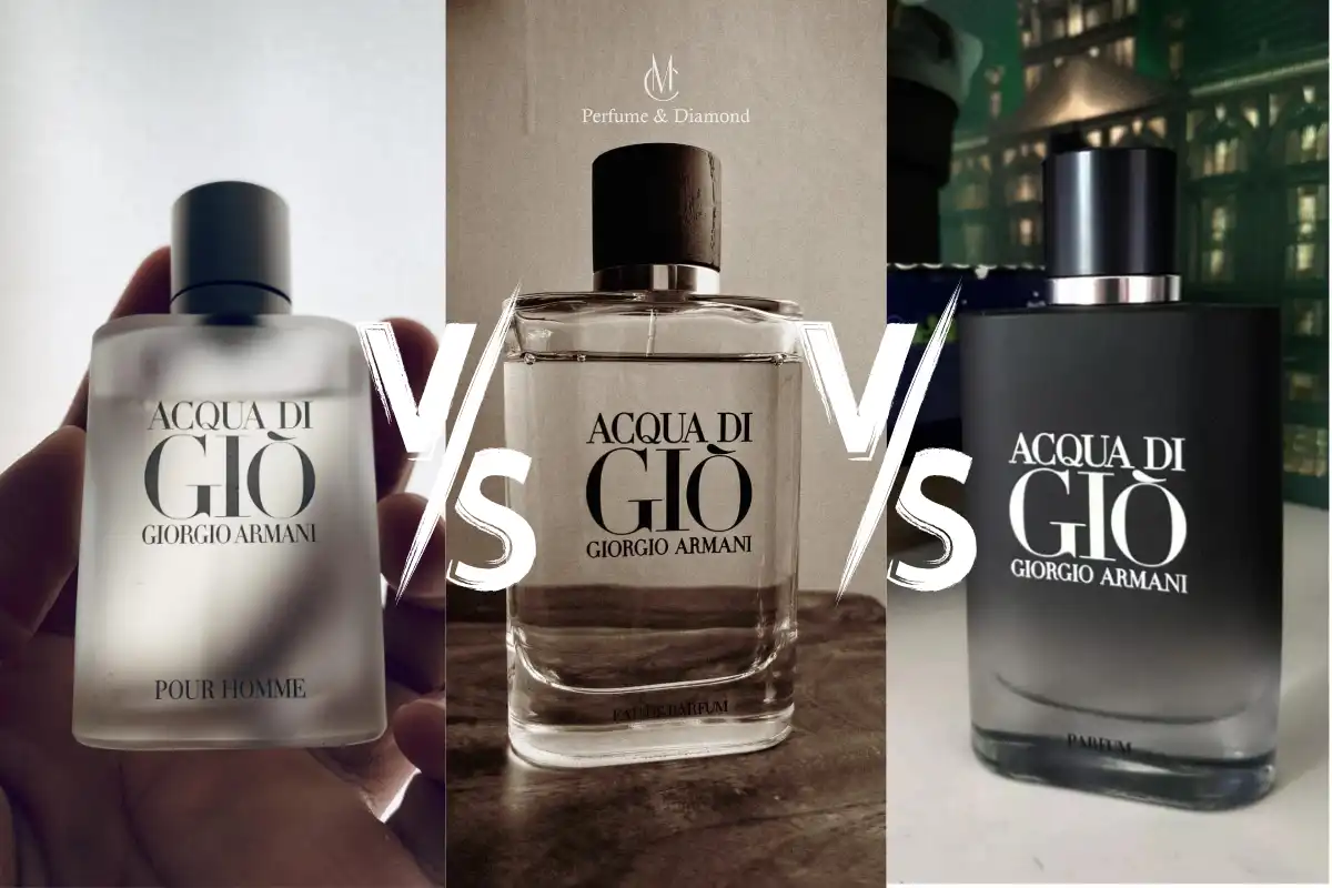 Review Nước Hoa Acqua Di Giò EDT vs EDP vs Parfum: Loại Nào Phù Hợp Với Bạn Nhất?