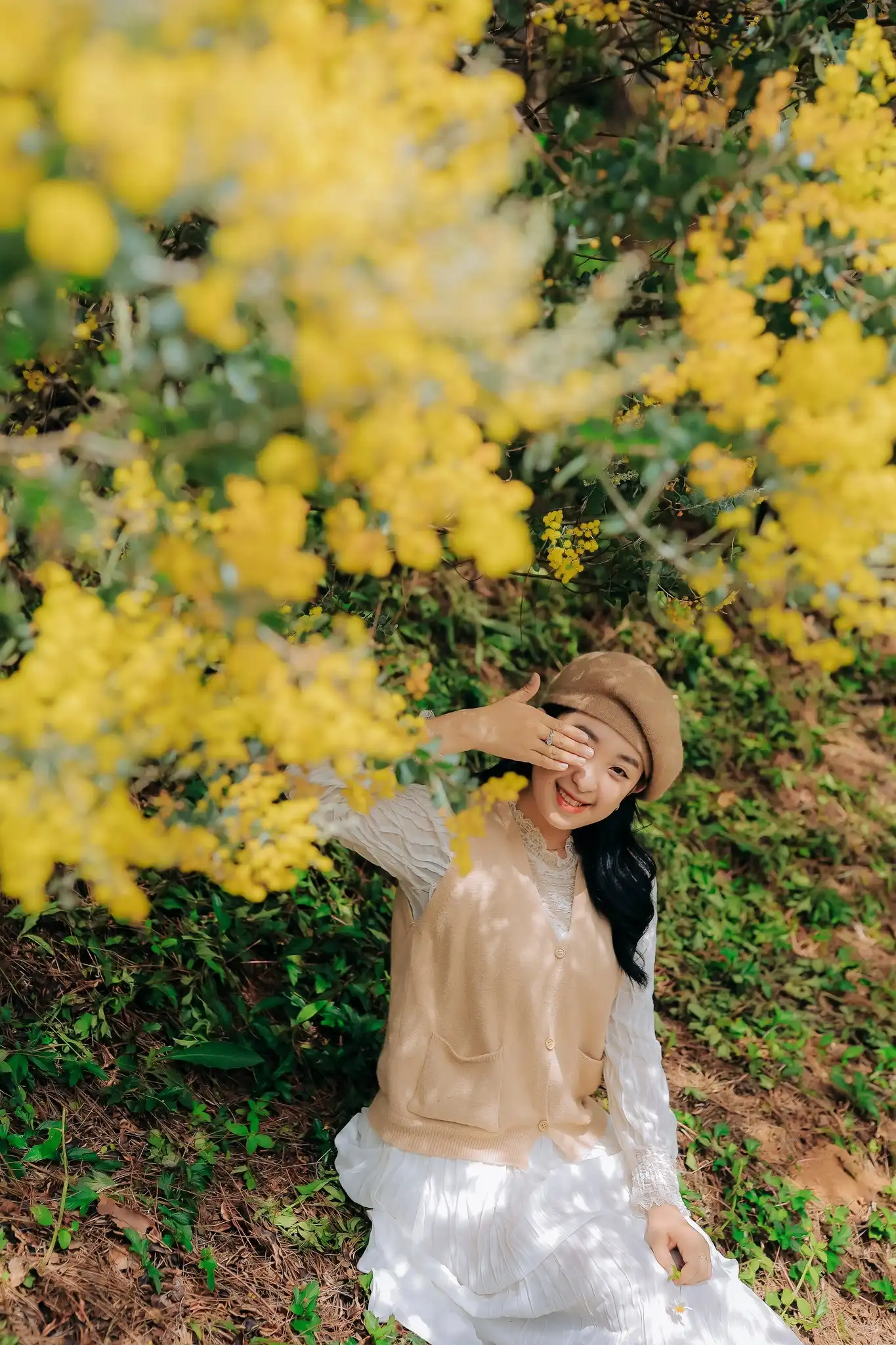 Chiết suất hương thơm từ hoa Mimosa