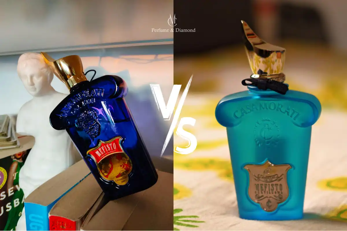 So Sánh Mefisto và Mefisto Gentiluomo từ Xerjoff – Hương Thơm Đậm Chất Ý
