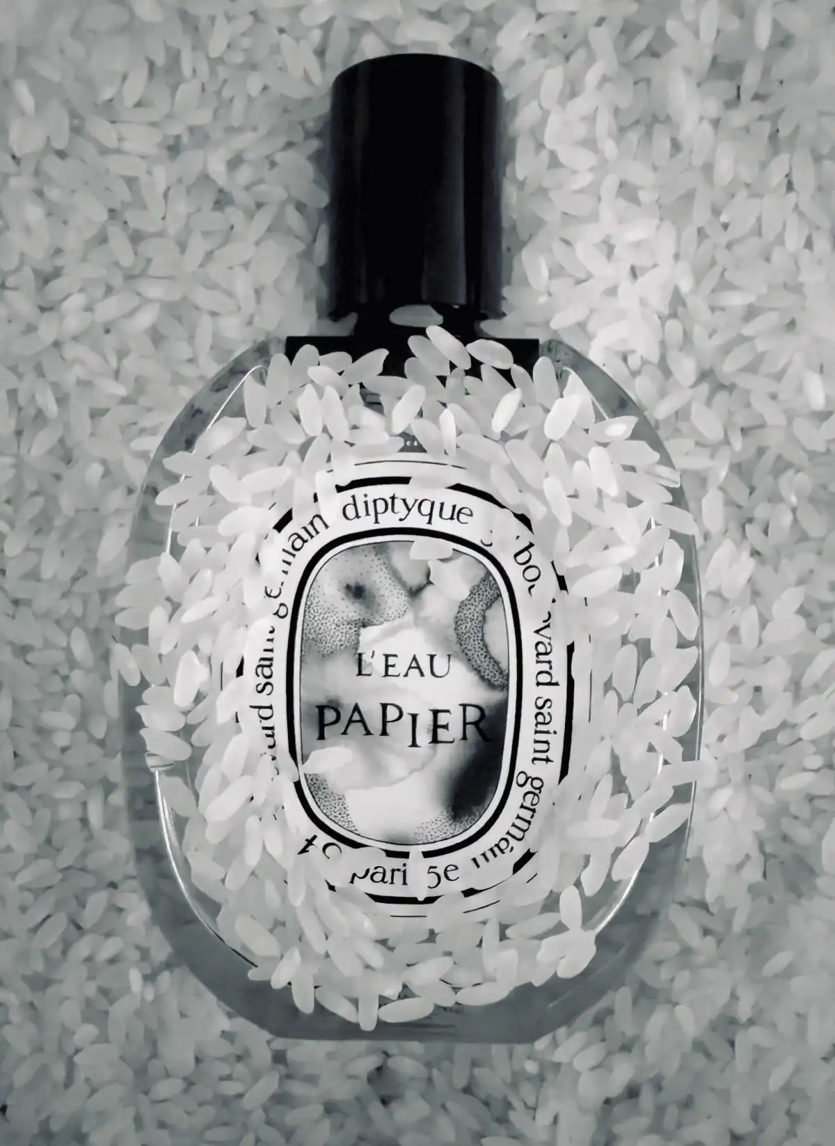 So sánh và gợi ý sử dụng Diptyque Paris L’eau Papier