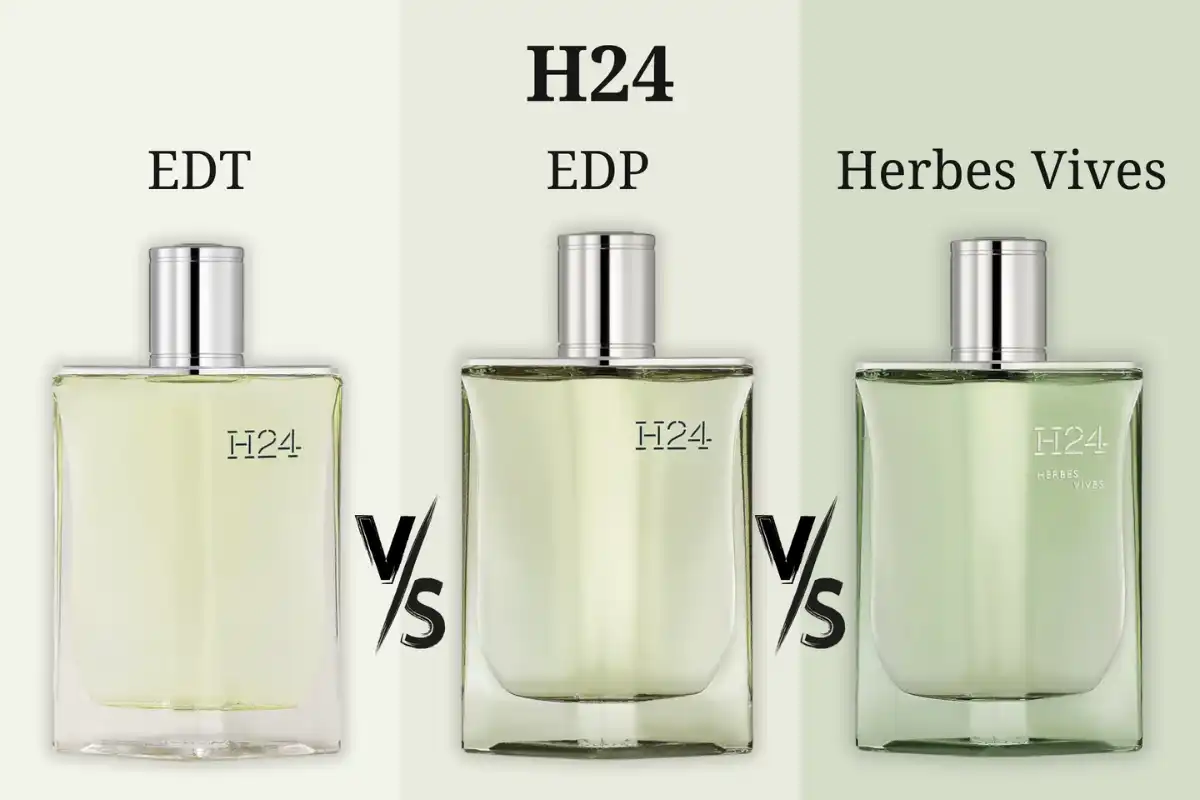 Đánh Giá Dòng Nước Hoa Hermès H24