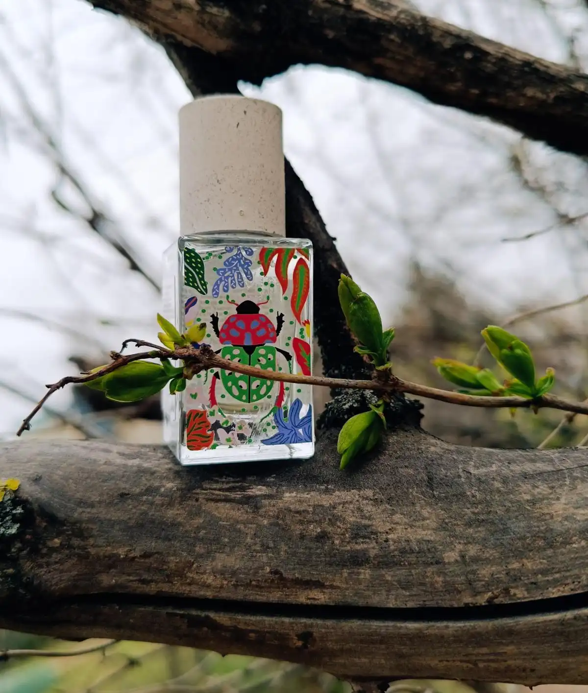 Dịp và mùa phù hợp Maison Matine Nature Insolente