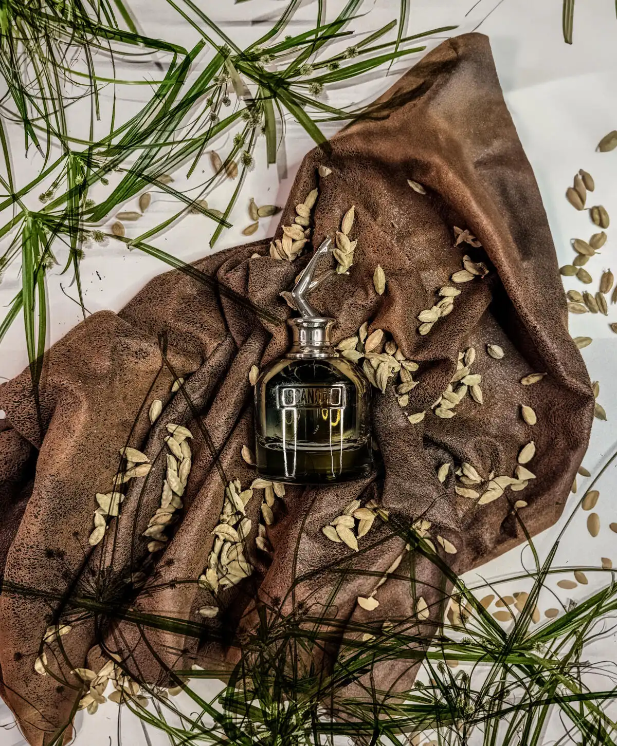 Độ tỏa hương Jean Paul Gautier Scandal Gold