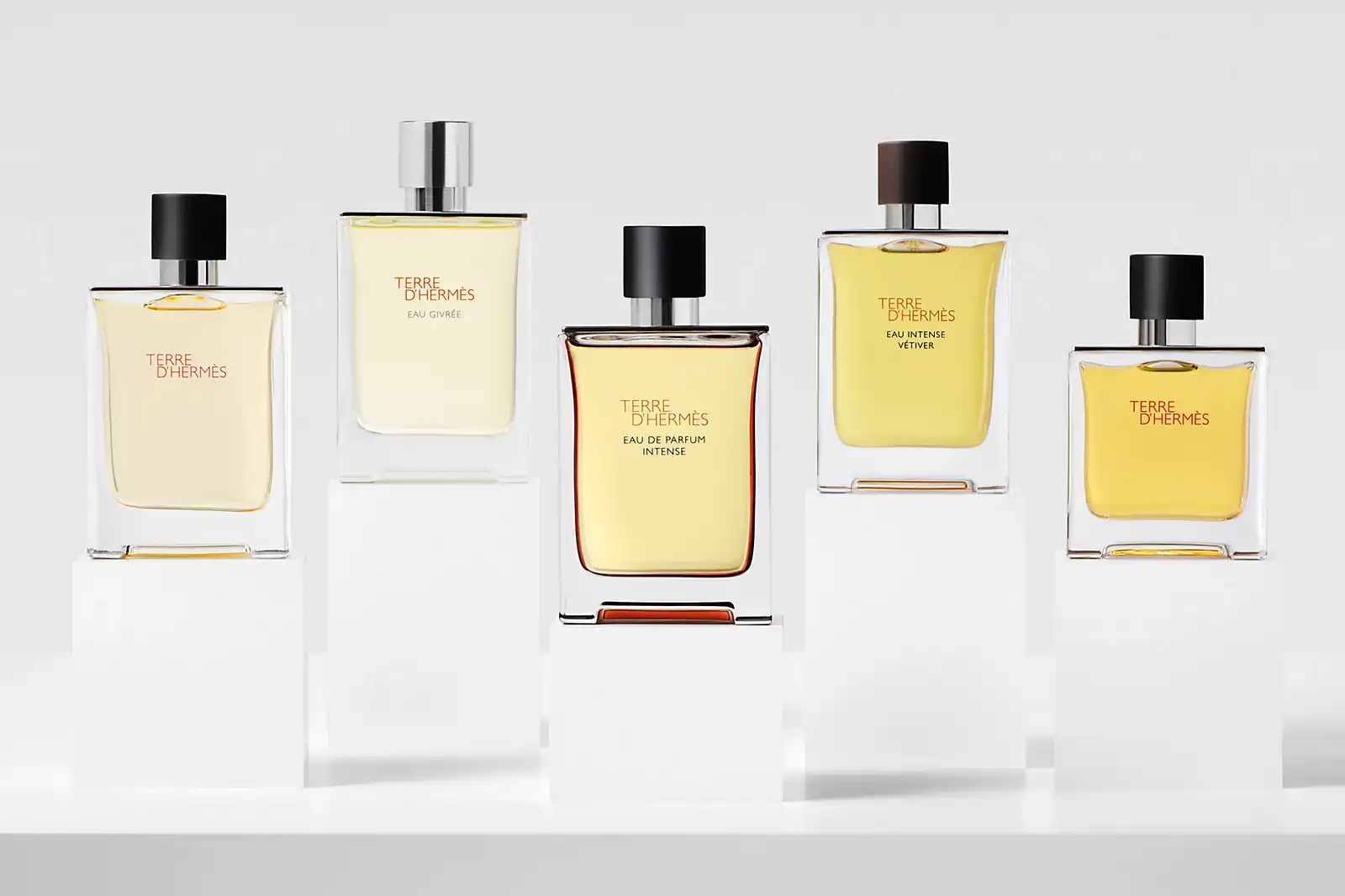 Nước Hoa Terre d’Hermès Có Mấy Loại?