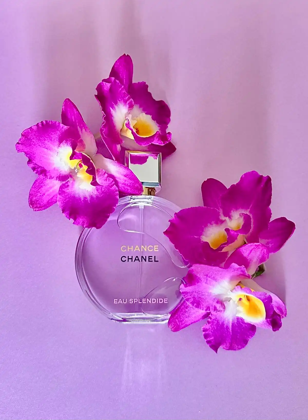 Chanel Chance Eau Splendide có lưu hương lâu không?