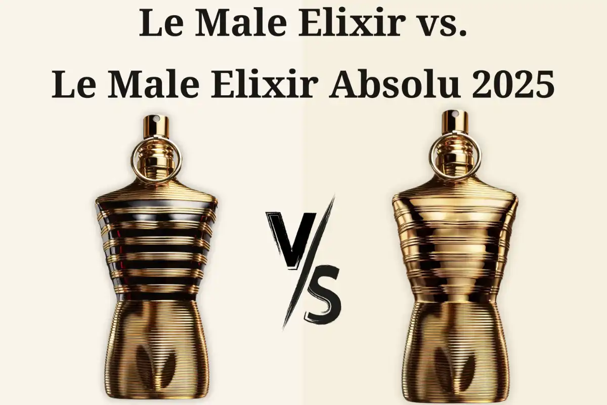 So Sánh Le Male Elixir vs. Absolu 2025