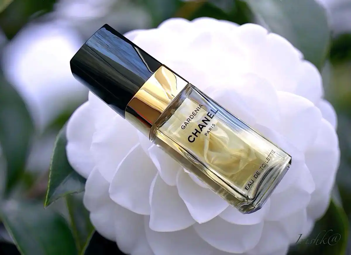 Review Les Exclusifs De Chanel Gardénia