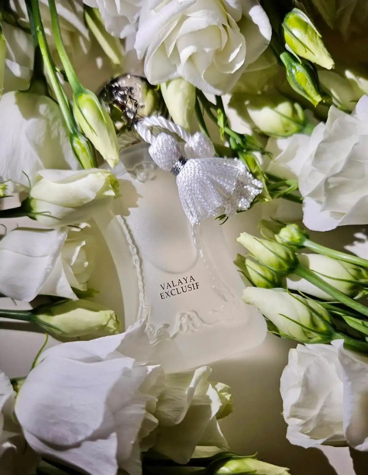 Góc nhìn mới về sự thuần khiết từ Parfums de Marly