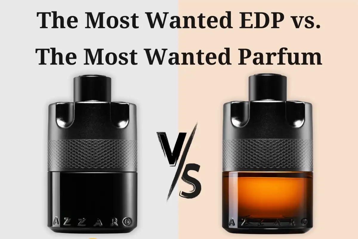 So Sánh The Most Wanted Eau de Parfum vs. Most Wanted Parfum