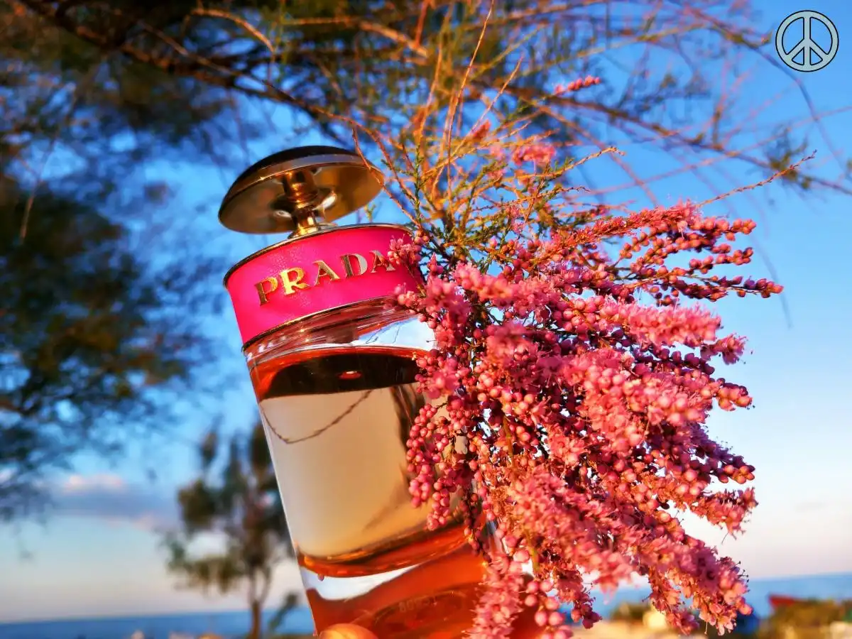 Review Nước Hoa Prada Candy